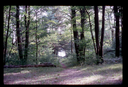 Slide114.jpg